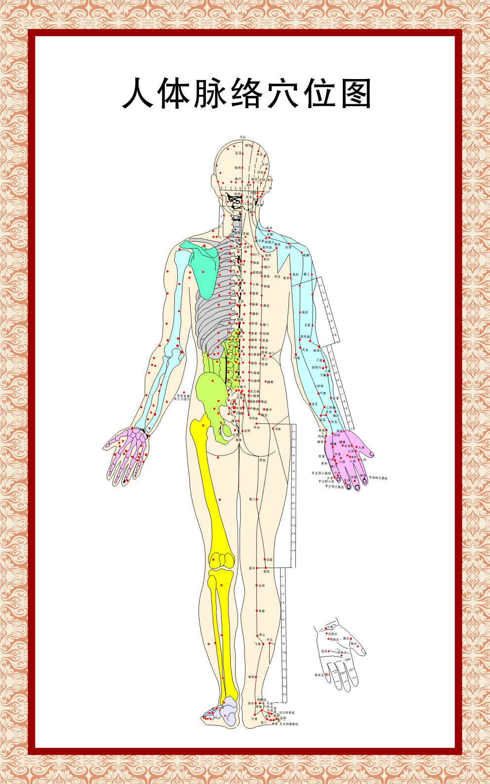 756海报印制展板写真喷绘808中医脉络图穴位图图解