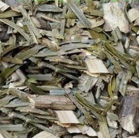 中药材 三尖杉 榧子 血榧 石榧 水柏子 藏杉 桃松  500克