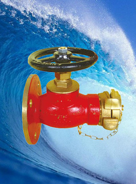 船用消防阀/青铜消防阀/直通式船用消防阀 GB/T2032-93  A10065