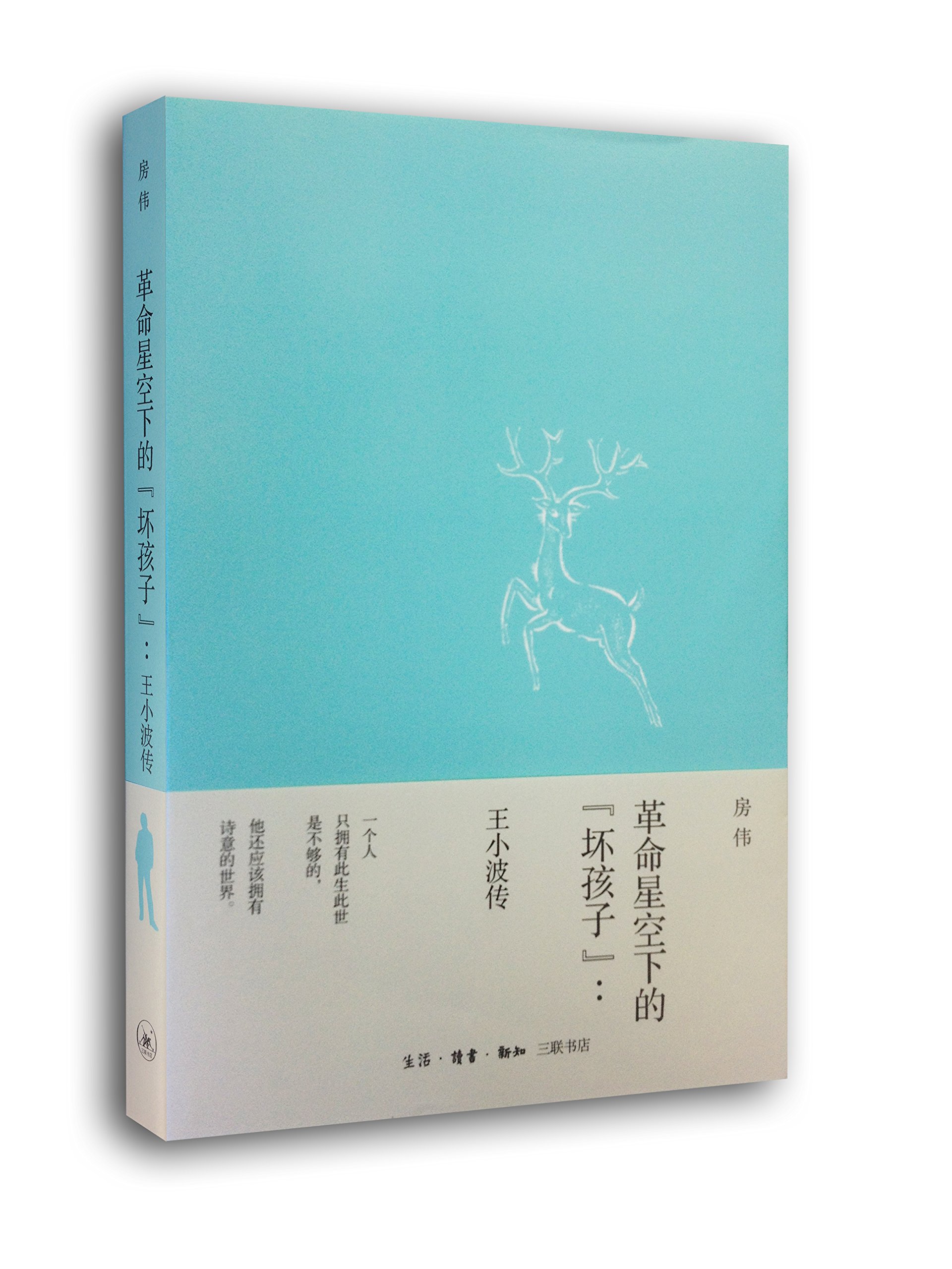 革命星空下的“坏孩子”王小波传 房伟