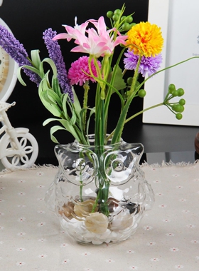 透明玻璃绿萝水养植物花器