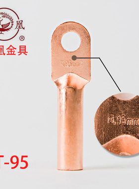 正品凤凰铜鼻子 酸洗堵油 铜接头 DT-95MM2 接线端子 B级  一只价