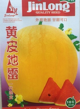 寿光蔬菜种子 水果西瓜种子 黄皮地雷 质沙脆甜  10粒
