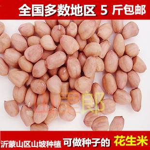 花生米沂蒙山自家种植花生米 白沙果花生仁 落花生500g一斤价