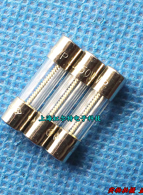玻璃保险丝 2A T2A 250V 5x20 213螺旋 慢熔 0213002 进口原装