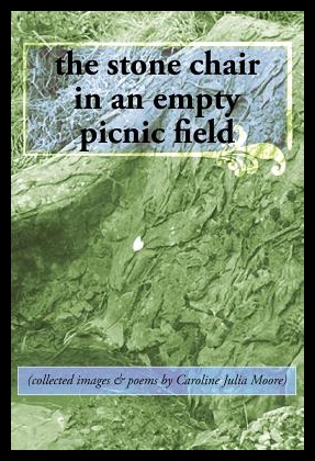 美国库房发货，通常付款后5-8周到货！