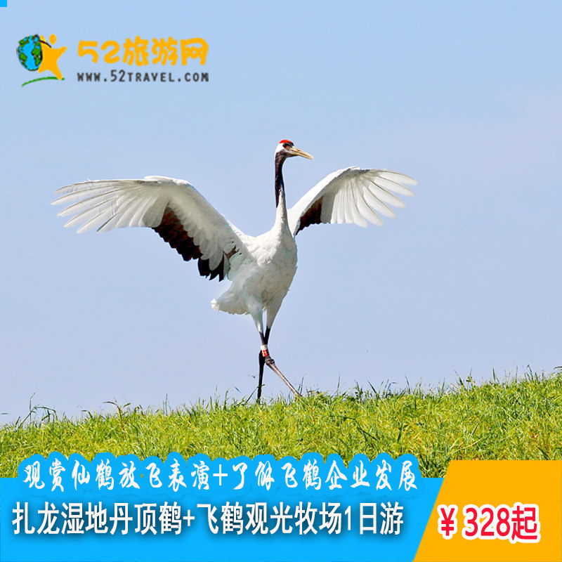 齐齐哈尔扎龙自然保护区+飞鹤观光牧场一日游 牧场赠牛轧糖+杯酸|ruв категории праздник линий/отправить закрыть визы/служба туризма, свободной линии/с Миссией плавать, в стране с Миссией плавать - от Buy2taobao.com для оказания профессиональной услуги покупки агента Taobao