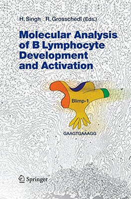 【预订】Molecular Analysis of B Lymphocyte D...