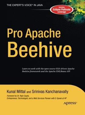 【预订】Pro Apache Beehive