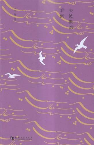 去波斯湾看海 书店 孟晖 文化随笔书籍 书 畅想畅销书