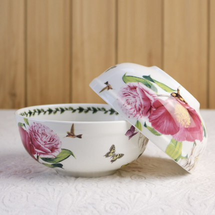 出口韩式骨质瓷碗环保骨瓷田园风餐具满4个包邮5.5寸韩式陶瓷面碗