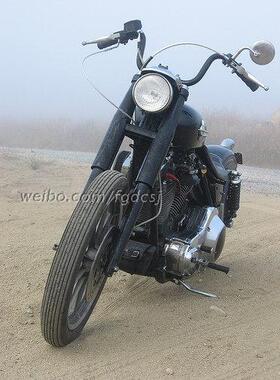 SPORTSTER 前叉保护罩 前避震 前叉套  39mm XL 48 883 1200 哈雷