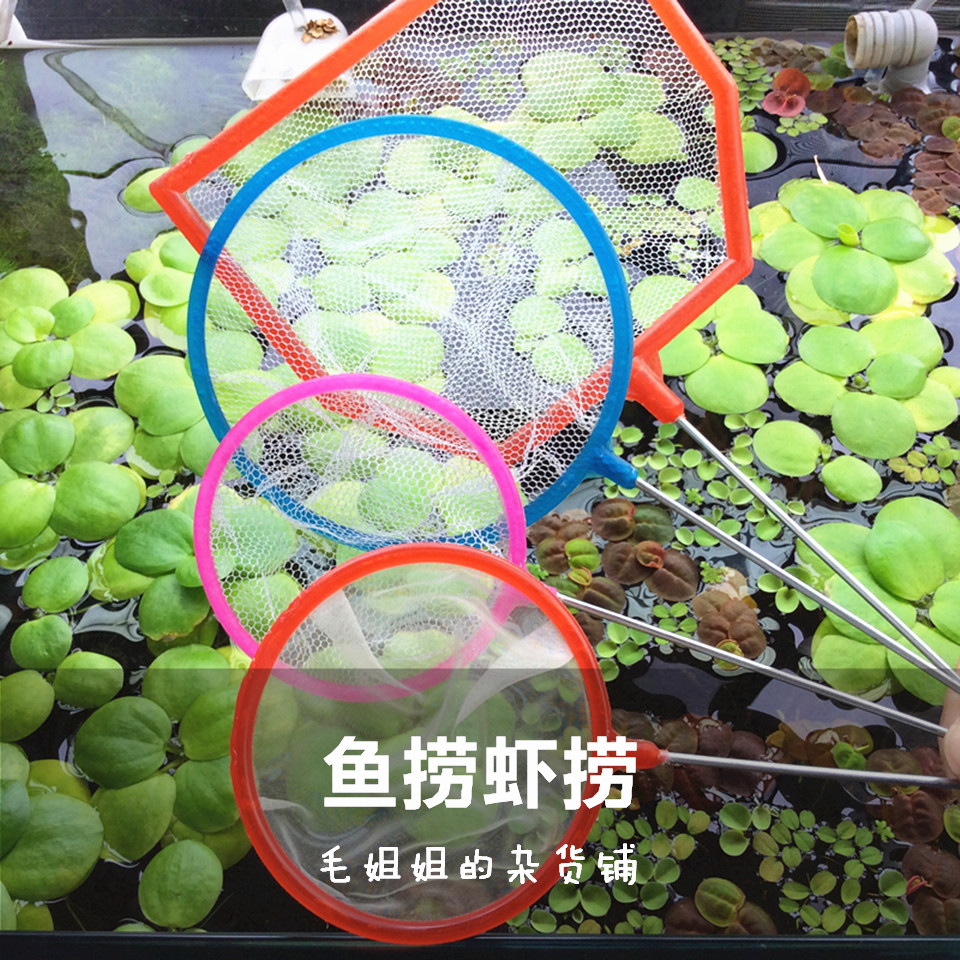 Shrimp fishing net pocket grass tank fishing net Shrimp net fishing fish ornamental shrimp net pocket coarse net Wild fishing net Aquarium fish tank
