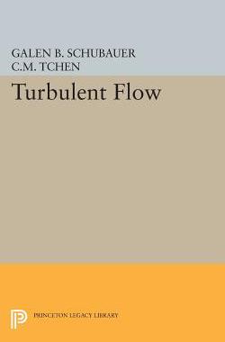 【预售】Turbulent Flow