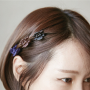 Cool na Korean hair accessories jewelry fashion simple grab clips to grab small fringe hair clips Princess 6555