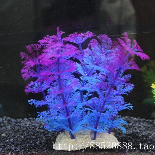 鱼缸水族箱造景装饰仿真迷你小水草假草塑料草紫色梦幻多色