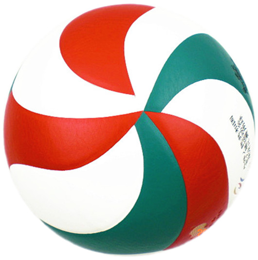 Ballon de volley - Ref 2009006 Image 1