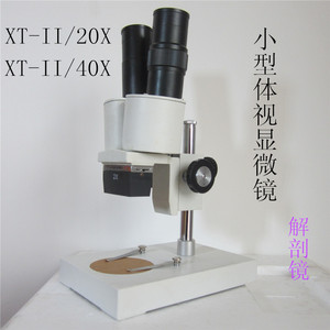 特价凤凰光学小体视显微镜XT-II-40X/生物解剖/手机维修专业20倍
