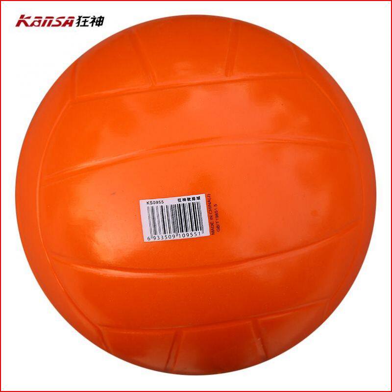 Ballon de volley - Ref 2015724 Image 1