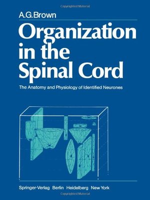【预售】Organization in the Spinal Cord: The Anatomy and ...