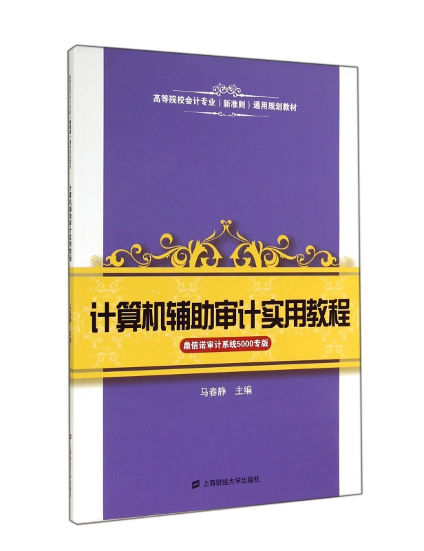 计算机辅助审计实用教程(鼎信诺审计系统5000专版高等院