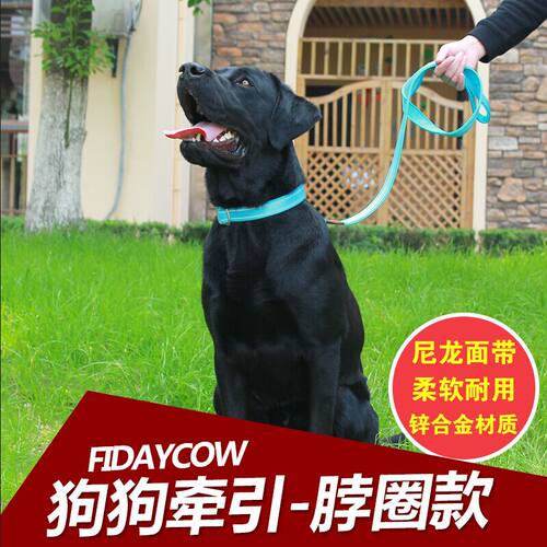 可调节项圈边牧柯毛不勒牵引绳