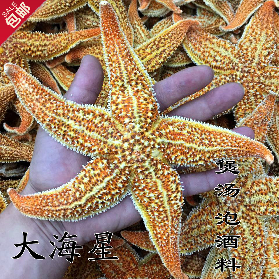 包邮渔民自晒大海星干货海星食用海星泡酒煲汤料海味干货海产250g