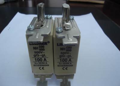 LINDNER熔断器NTC00/NH000/NH00C-100A gL/gG (500V120KA) 直拍