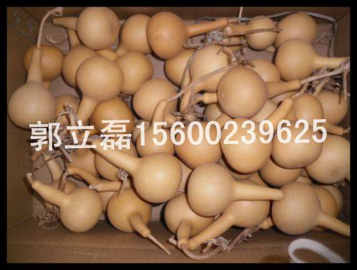 天然工艺小葫芦异形油锤照型象鼻子烙画原材独头庙会漫展热销货源