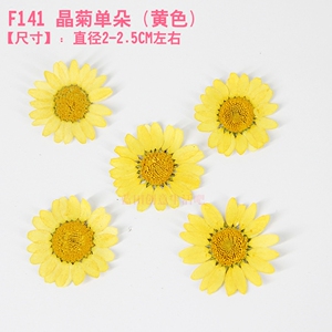 热销植物晶菊花朵押花包DIY蜡片蜡烛水晶滴胶压花干花手机壳黄色