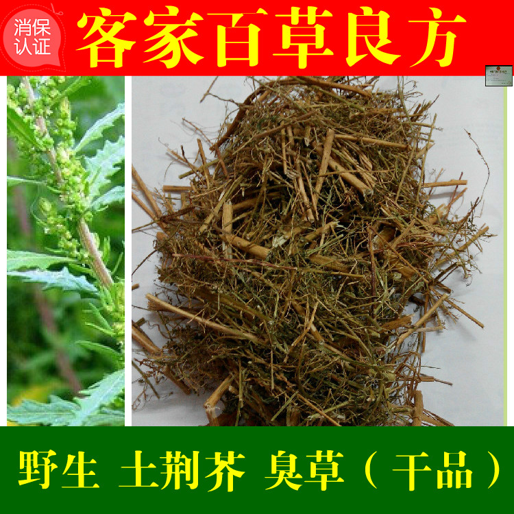 中草药野生湿痒外洗土荆芥 臭草 臭藜藿  钩虫草 臭蒿  500克包邮