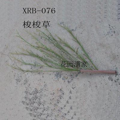 仿真假树叶问荆叶梭梭草叶莎草香附沙漠植物博物馆创意工程直销