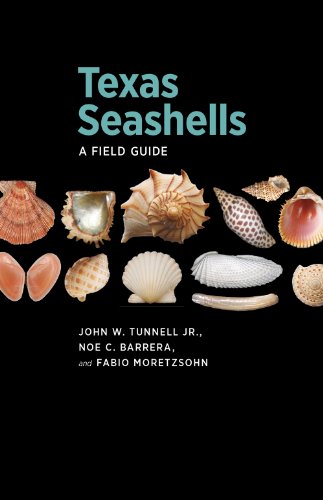 【预售】Texas Seashells: A Field Guide