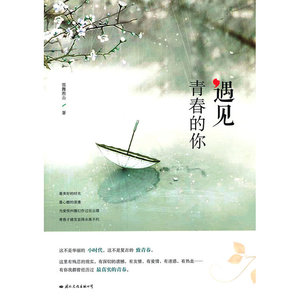 遇见，青春的你（当爱恨纠缠幻作过往云烟，青春才越发显得永垂不朽）