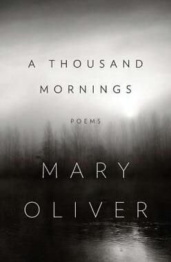 【预售】A THOUSAND MORNINGS
