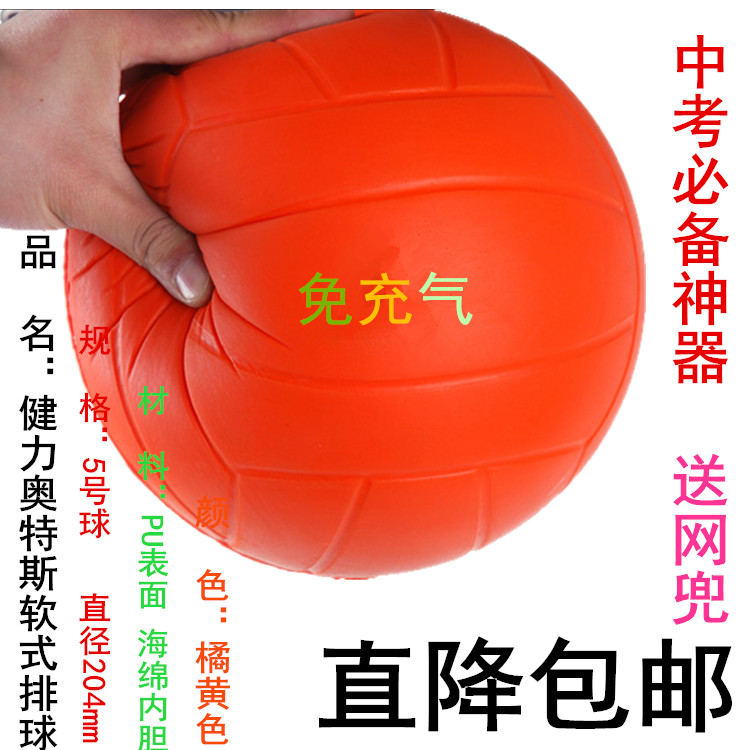 Ballon de volley-ball - Ref 2007962 Image 5