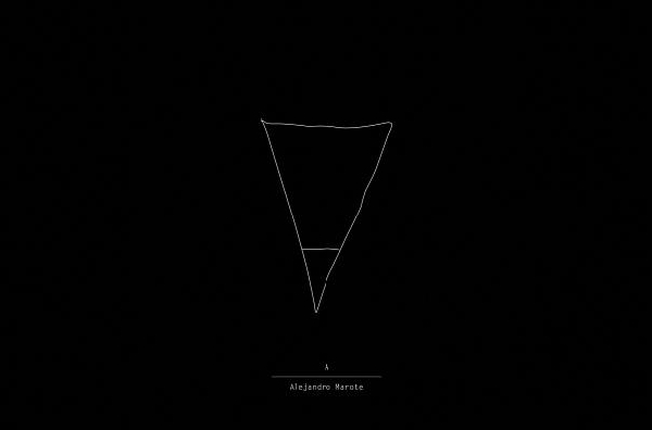 美国库房发货,通常付款后5-8周到货！