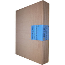 Скульптура 中国木版年华集成·上海小校场卷——中国木版年画集成