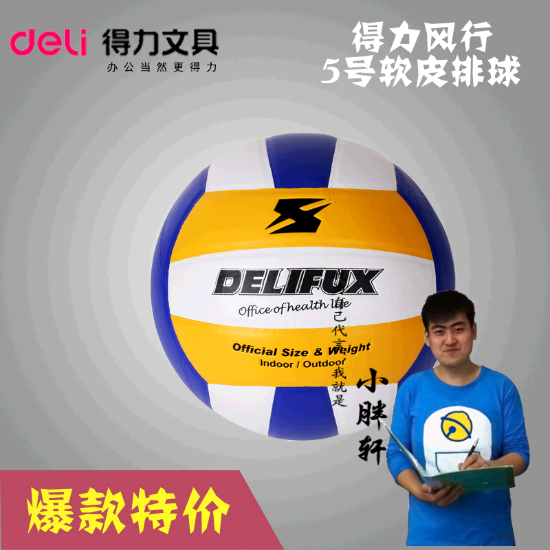 Ballon de volley - Ref 2016610 Image 1