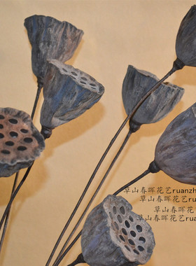 天然莲蓬插花装饰仿真花干花
