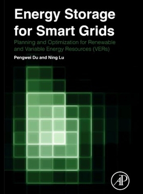 【预售】Energy Storage for Smart Grids: Planning and Oper