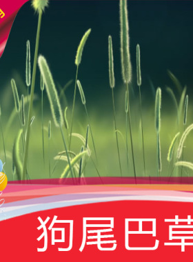 【狗尾巴草】高清LED视频素材 舞台背景 节目演艺表演