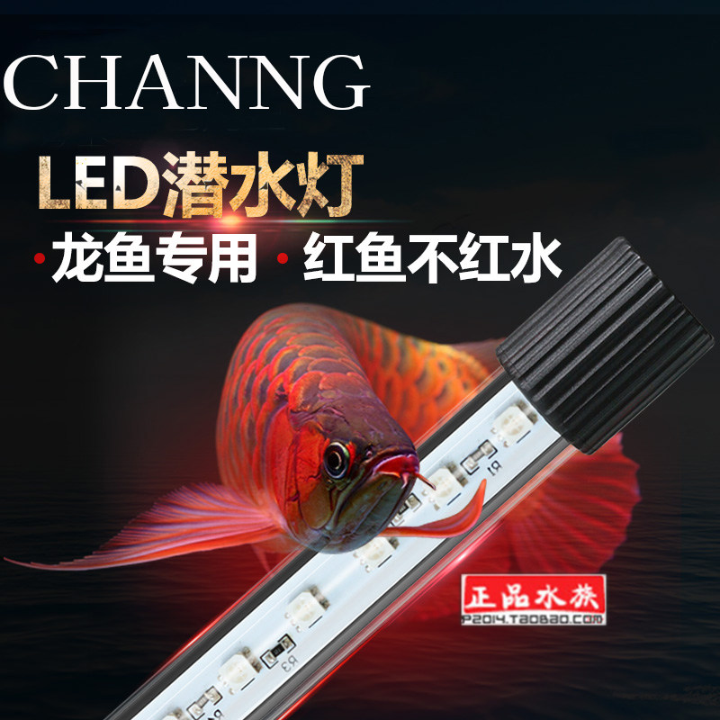 创宁LED潜水灯鹦鹉罗汉龙鱼专照明器材