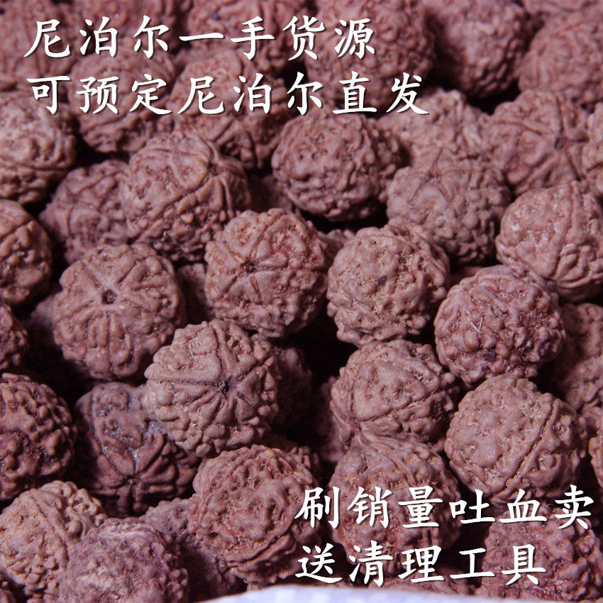 正宗尼泊尔四五六瓣大金刚菩提子原籽 按斤 成串 通货