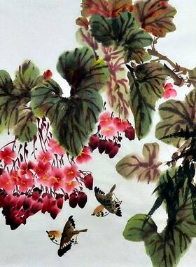 平民画院无款字画E032125四尺斗方无款写意国画花鸟66 66