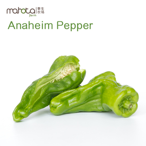 泰生皱皮椒300g mahota农产品新鲜皱皮椒蔬菜江浙沪同城配送