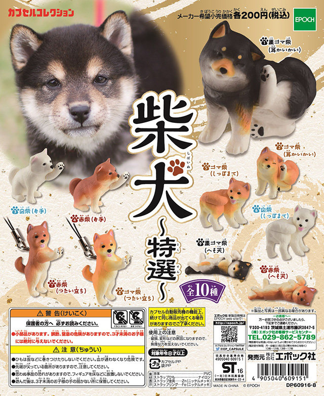 正版散货 EPOCH 扭蛋 柴犬特选 挂件 摆件