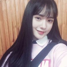 Accessoires pour perruques - Ref 229314 Image 12