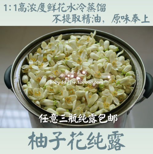 头道饱和柚子花鲜花纯露无添加