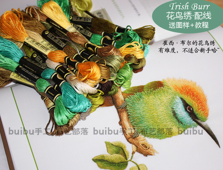 刺绣配线 崔西布尔刺绣配色事典配线Trish Burr绿喉蜂虎送图教程